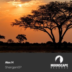 Alex H - Chapungu (Original Mix)