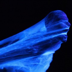 "Matamort"/ Céline du Chéné et Laurent Paulré / Julien Salaud