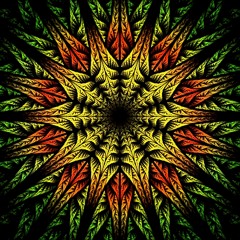 Xerox - karina