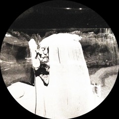 Laszlo Dancehall - Tide In (WOLFEP034) Preview