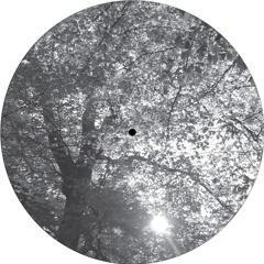 B1. ZOLTAN SOLOMON - CNX - BaumLPE003