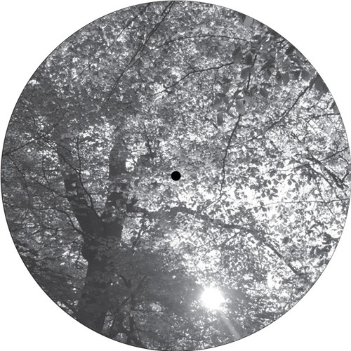 A1. RESOE - WASTED ECHO -  BaumLPE003