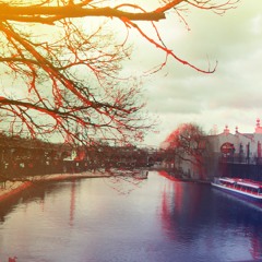 Valentin Stip - Wit(z)