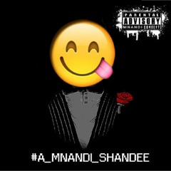 A Mnandi Shandee [prod. By Bravestarr Beats]