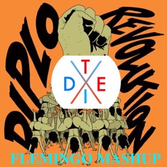 TIDES X REVOLUTION (FLEMINGO MASHUP)