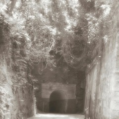 Silent Tunnel