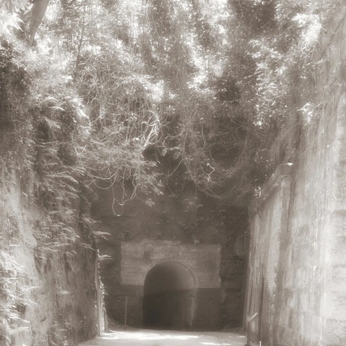 Silent Tunnel