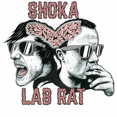 Shoka Lab Rat - 2 a day (RIP Voodoo)