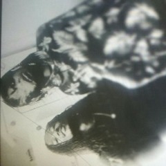 Nino Feat. DRell- New Niggaz.mp3