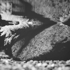 [eno] Drown and Dive