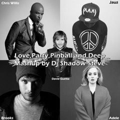 David Guetta & Chris Willis Vs. Jauz Vs. Brooks Vs. Adele - (Dj Shadow Steve Mash Up)