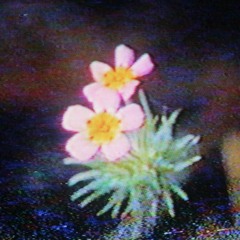 Mondayeyetus Tape [Side B] w/ Faz x MeloDownz