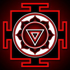 Skincage May 7 2016 at The Loft in Tucson, Arizona (Opening For Negativland)