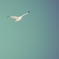 Breeze