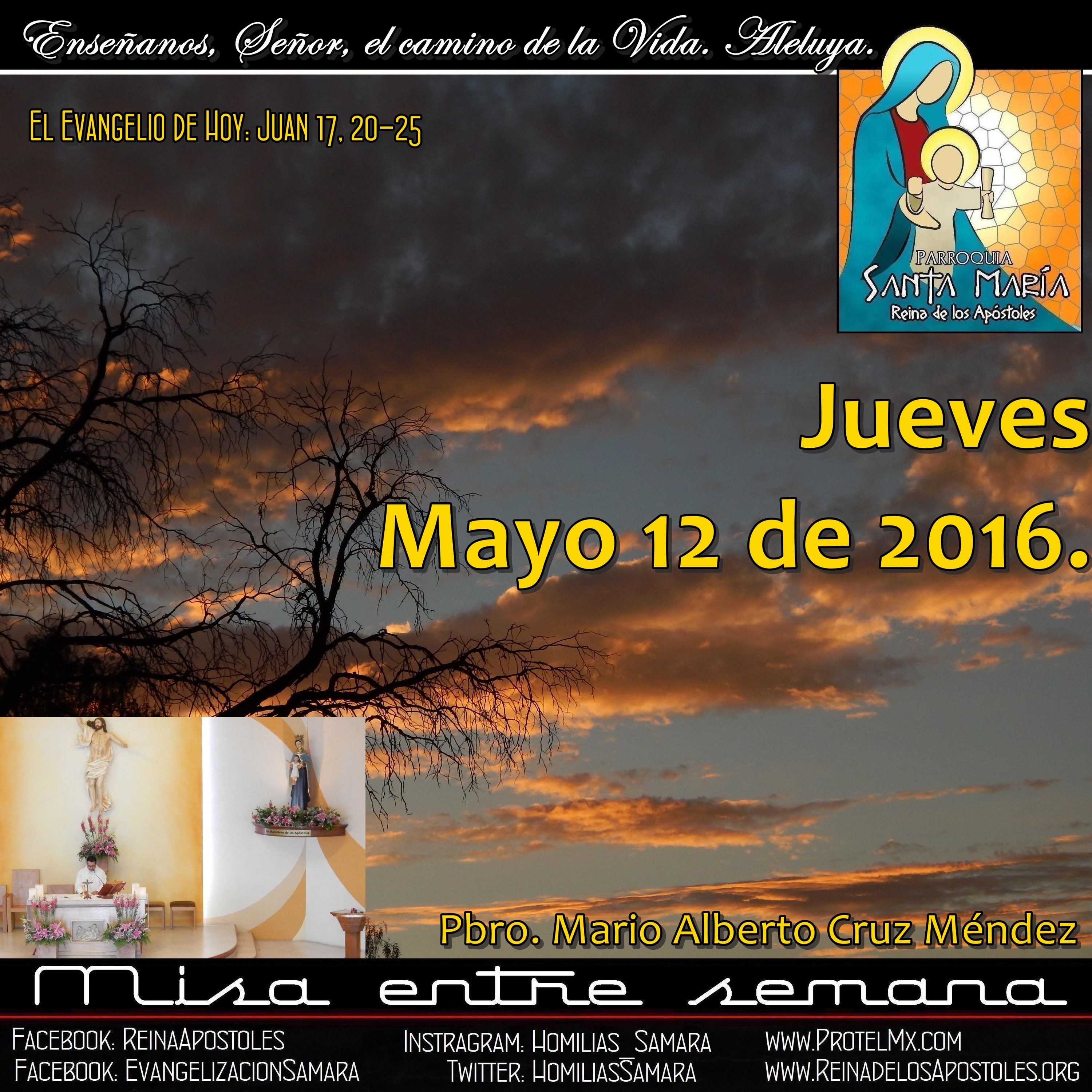SAMARA_Saltillo #2019