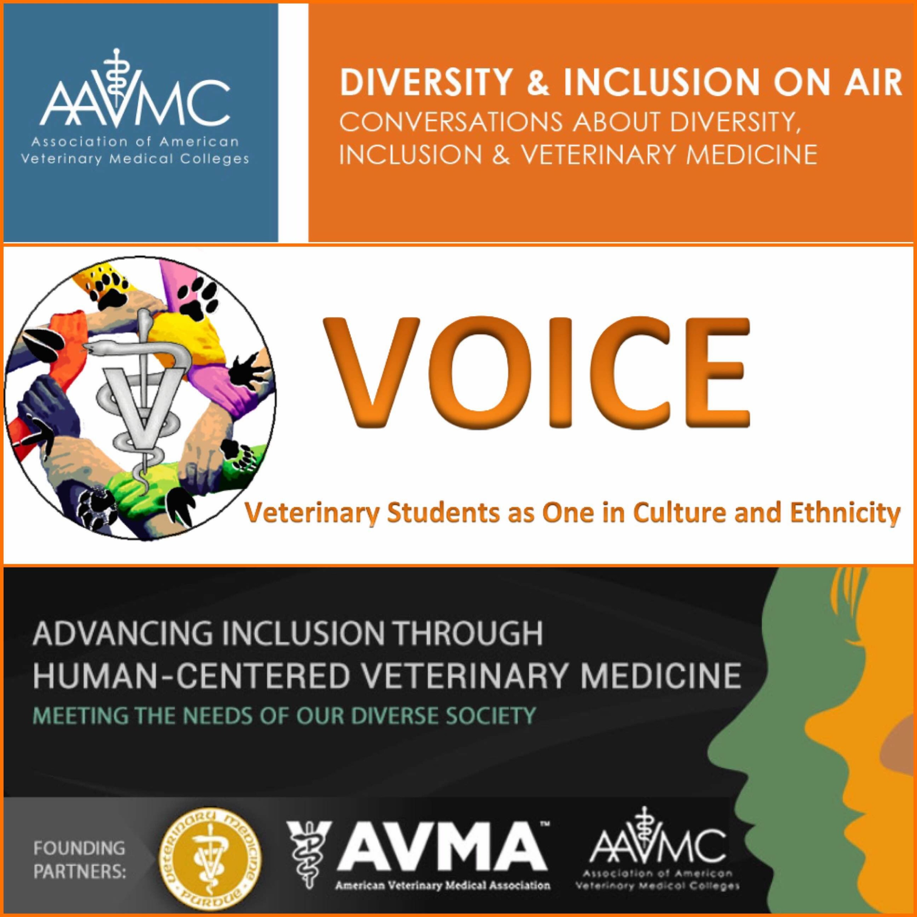 AAVMC\'s On Air: Conversations about Issues in Veterinary Medicine