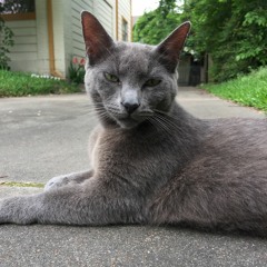 Busted Pillars(demo vox)