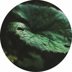 A1 Eebb - Neyen Spiruline1