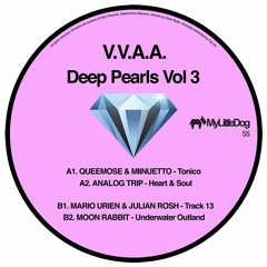 Analog Trip - Heart & Soul (Original Mix)