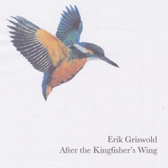After the kingfisher's wing, part 1 (2010)