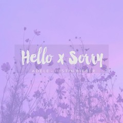 Hello x Sorry (cover)