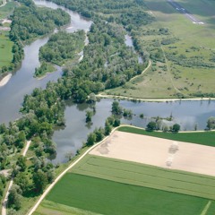 Parcours "Tour de la boire" - Panneau libellule n°10