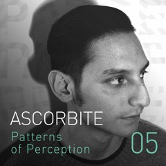 Patterns of Perception 05 - Ascorbite