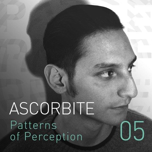 Patterns of Perception 05 - Ascorbite