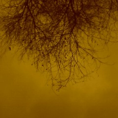 Little Sister Paula's Song. R. I. P.