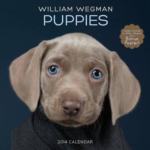 Stream William Wegman Puppies 2014 Wall Calendar download pdf from Leya |  Listen online for free on SoundCloud
