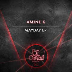 Amine K - Arnold's Rave (Original Mix)