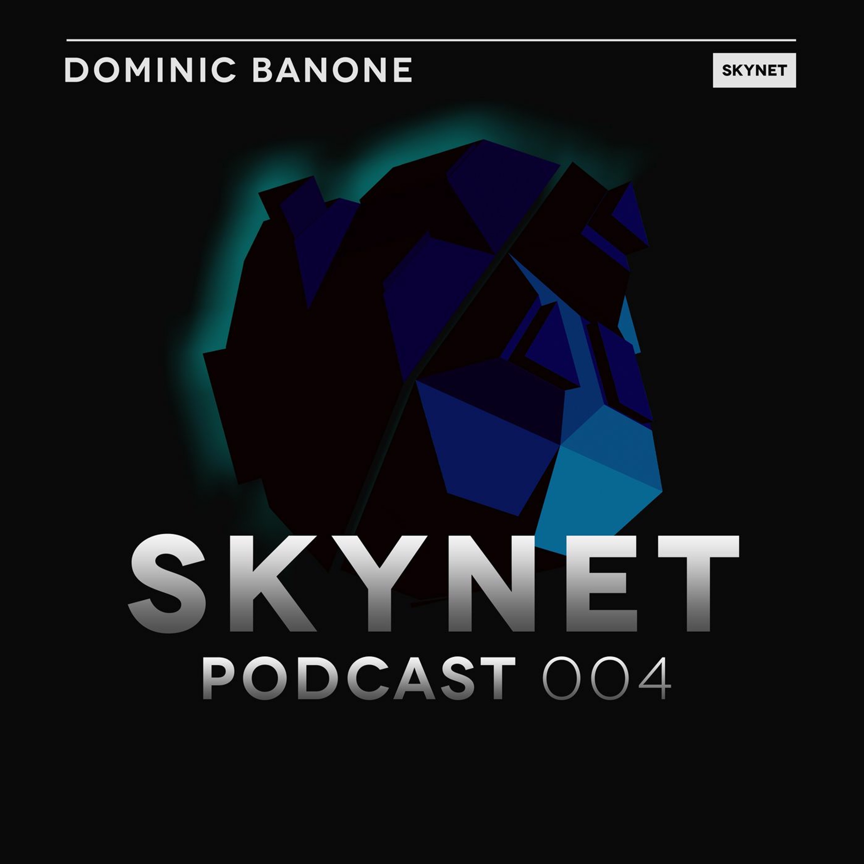 Skynet Podcast