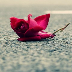 Kaadhal Kaaviyam ~