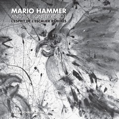 Mario Hammer And The Lonely Robot - Mono No Aware / L'esprit De L'escalier (Extrawelt Tool)