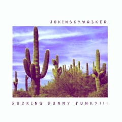 Jokin Skywalker - Fucking Funy Funky!!!