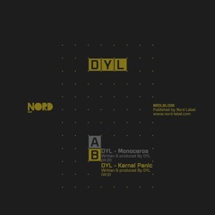 DYL - Kernel Panic (Clip)