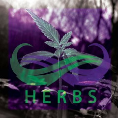 Ace Hood - All The Way G