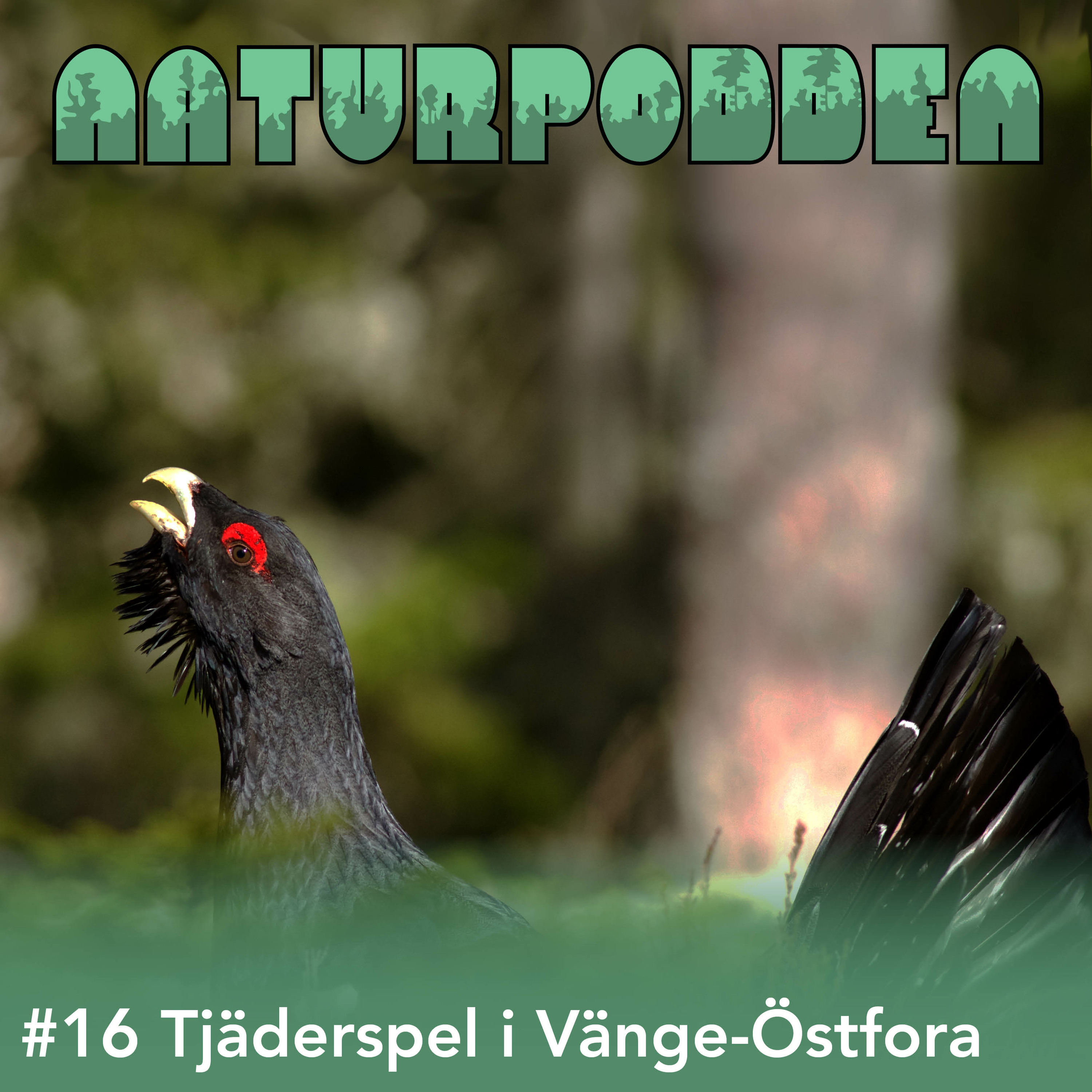 Naturpodden - Producerad av Biotopia