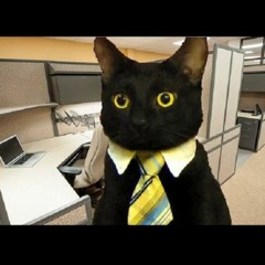 Unqualified [speedcomp20]