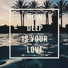 Calvin Harris & Disciples - How Deep Is Your Love (Flip'C Remix)
