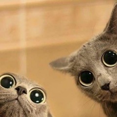 NO Name !!!! -----  By PsYlo !!!!!