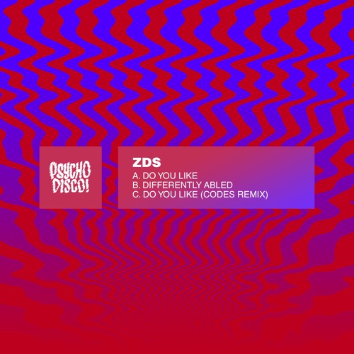 ZDS - Do You Like (Codes Remix)