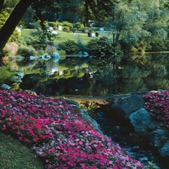 T-jabz Respect The Roses