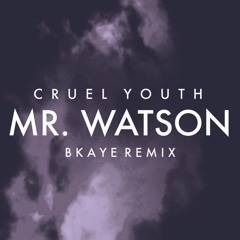 Cruel Youth - Mr. Watson (BKAYE Remix)