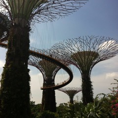 Can't help falling in love