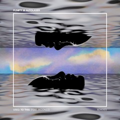 Used To This (The Remixes)