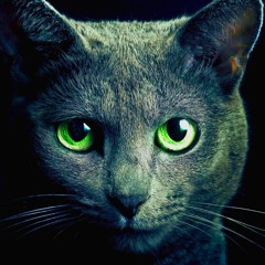 Bloody Good - Silent Zen - Happy Friday the 13th