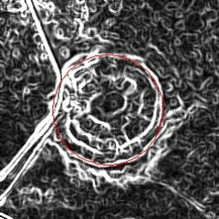 Borrowed from Canada