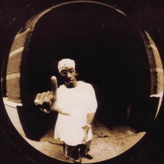 Put It On Big L remix