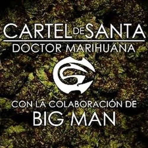 Stream Cartel De Santa - Doctor Marihuana (Dj Fahuricio Bass Boost Remix  2016) by Gustos Intensivons Rmix | Listen online for free on SoundCloud